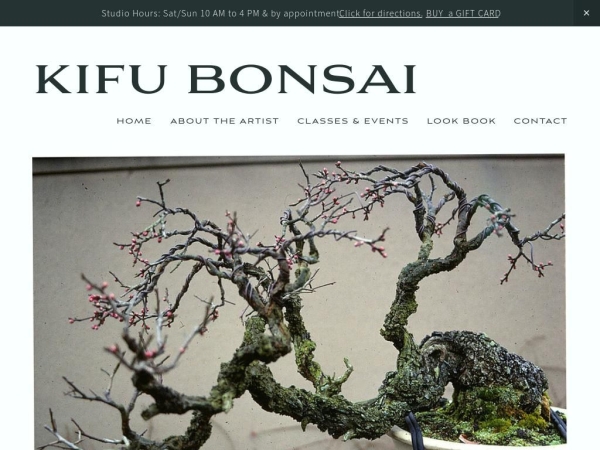 kifubonsai.com